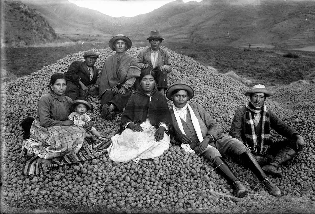 Ezequiel Arce e sua colheita de batatas, Cuzco, Peru, 1934 @ Acervo Instituto Moreira Salles<p>© Martín Chambi</p>