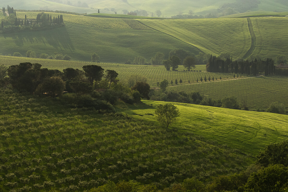Tuscany at Dusk<p>© Myrtie Cope</p>