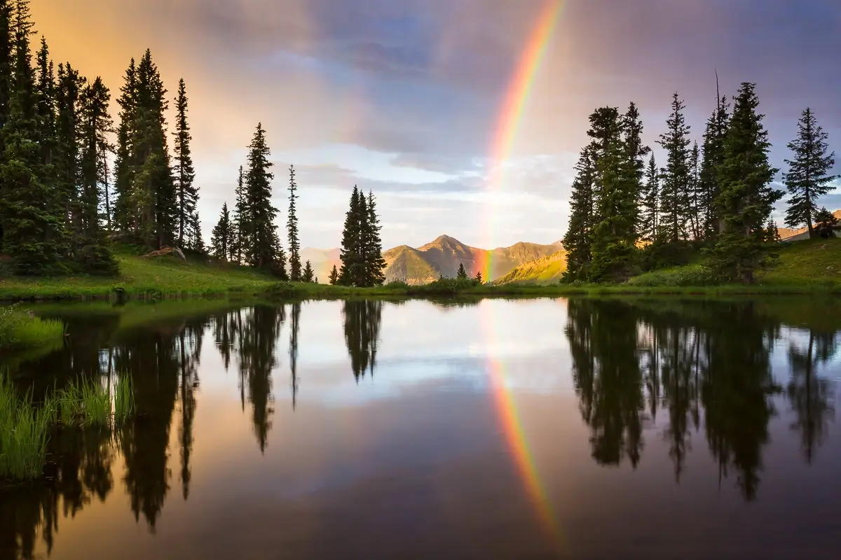 <p>&copy; Nat Coalson</p>