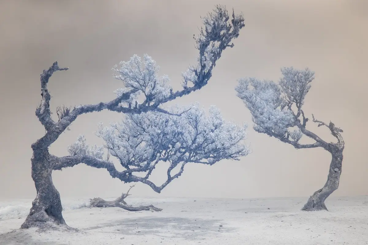 <p>&copy; Nat Coalson</p>