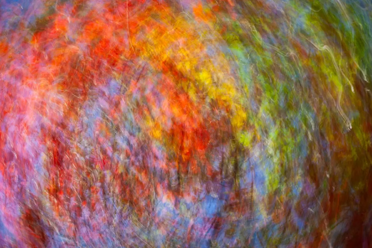 <p>&copy; Nat Coalson</p>