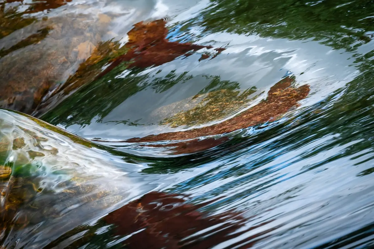 <p>&copy; Nat Coalson</p>