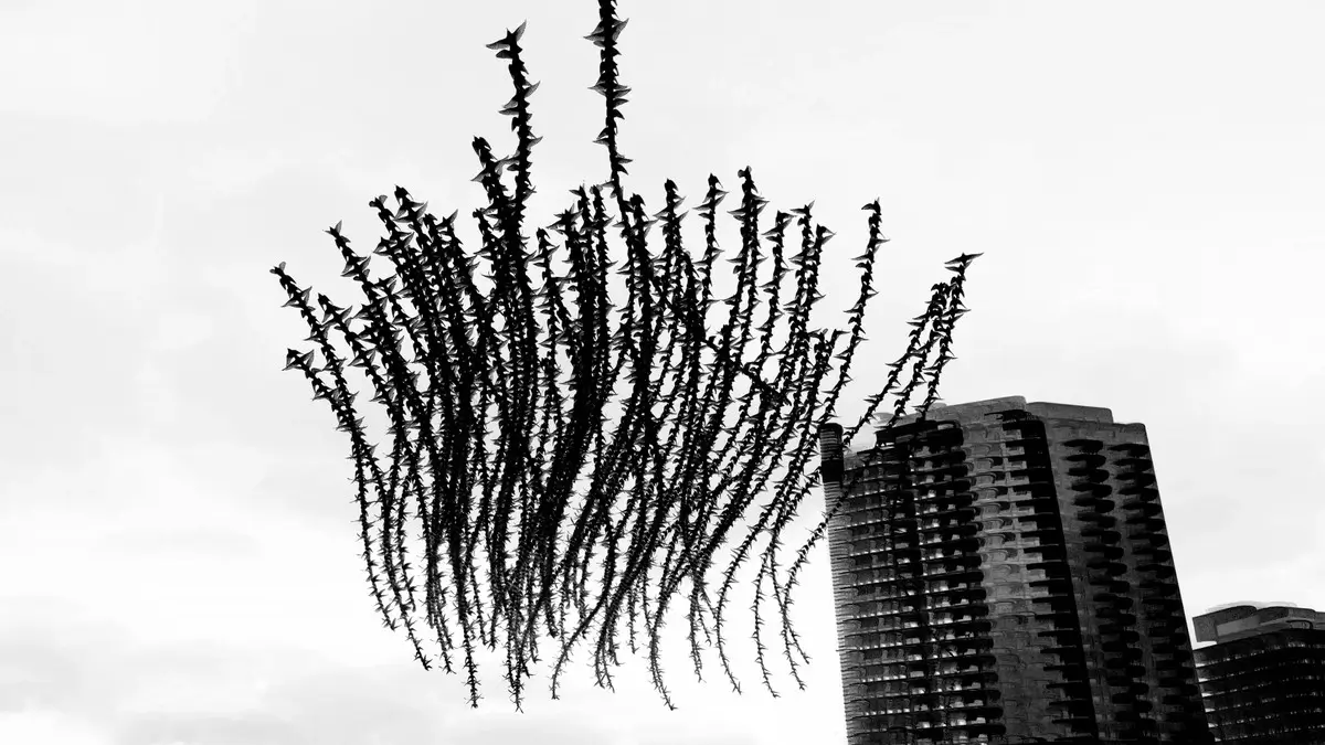 <p>© Raghuvamsh Chavali</p>