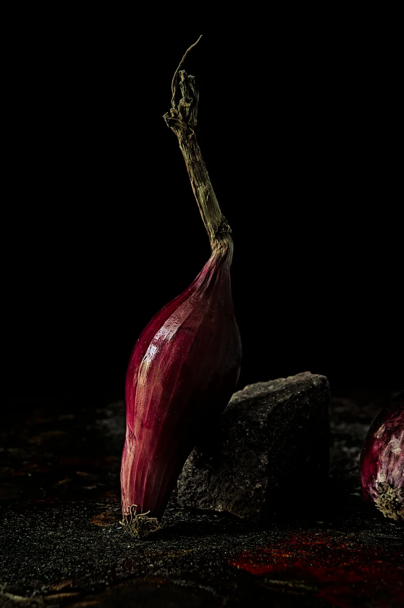<p>© Roberto Cavazzuti</p>