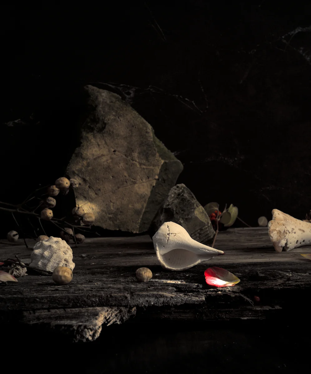 <p>© Roberto Cavazzuti</p>