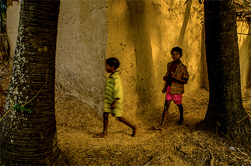 <p>© Robi Chakraborty</p>