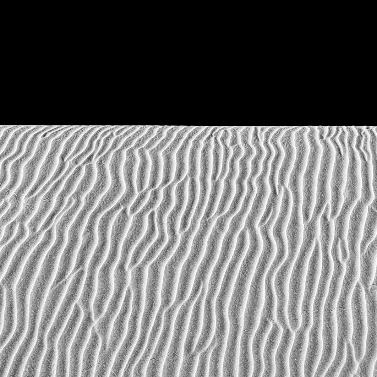 <p>&copy; Ruppert Chambers</p>