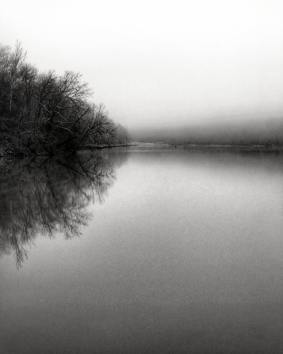 Stillness<p>© Terese Conway</p>