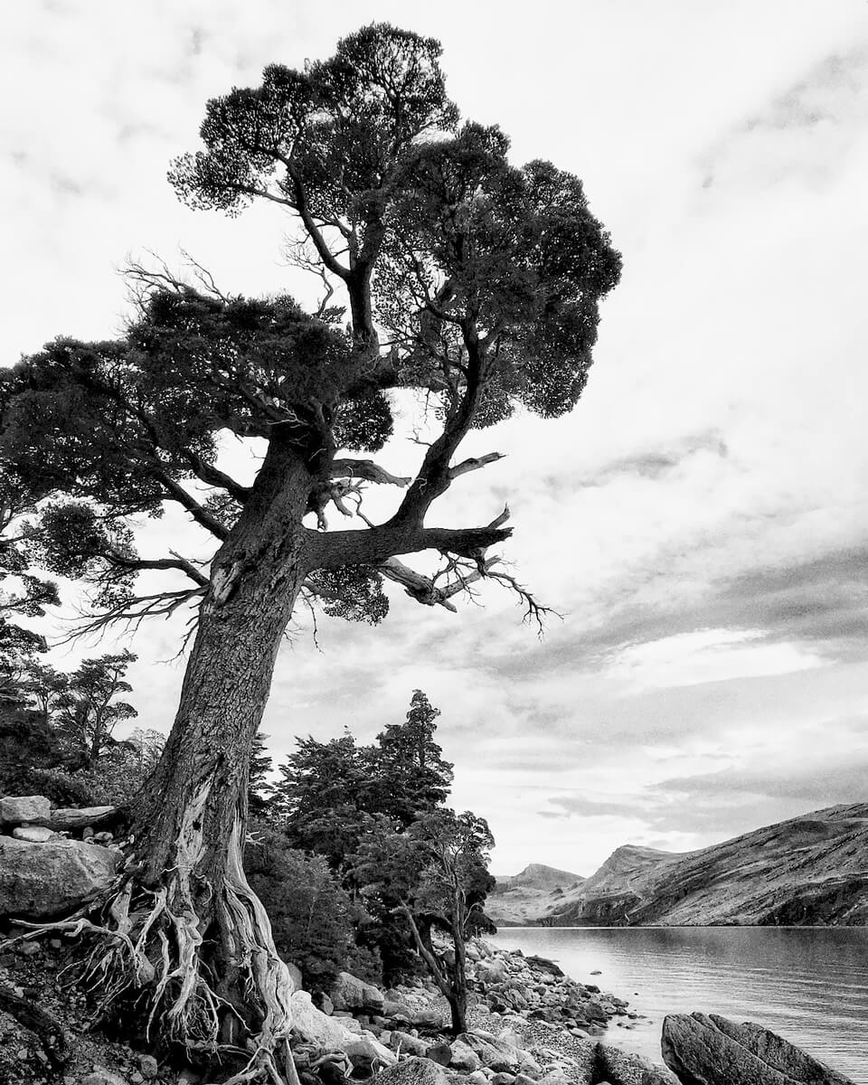 Lago Nordenskjold<p>© Terese Conway</p>