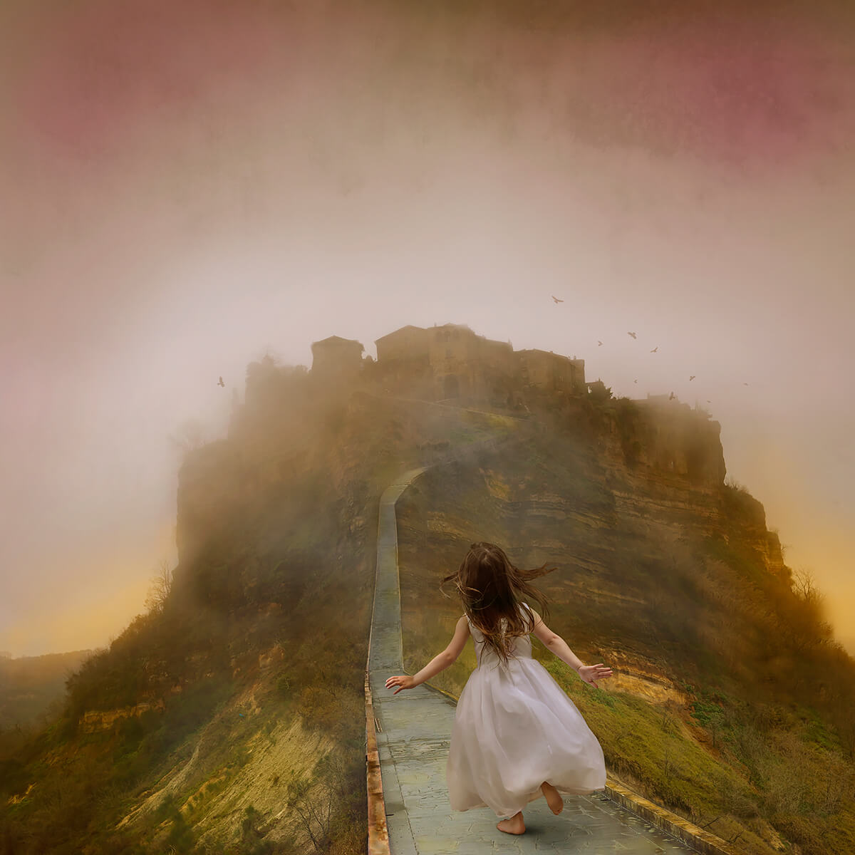 Late For Diner<p>© Tom Chambers</p>