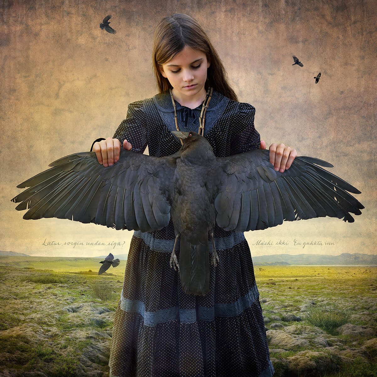 The Trickster<p>© Tom Chambers</p>