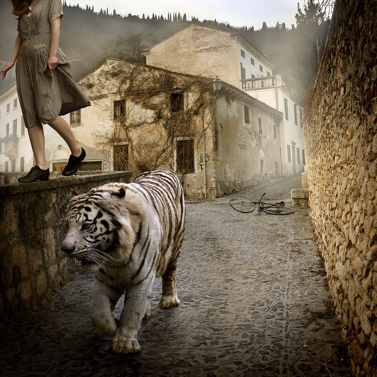 Edge Of A Dream<p>© Tom Chambers</p>