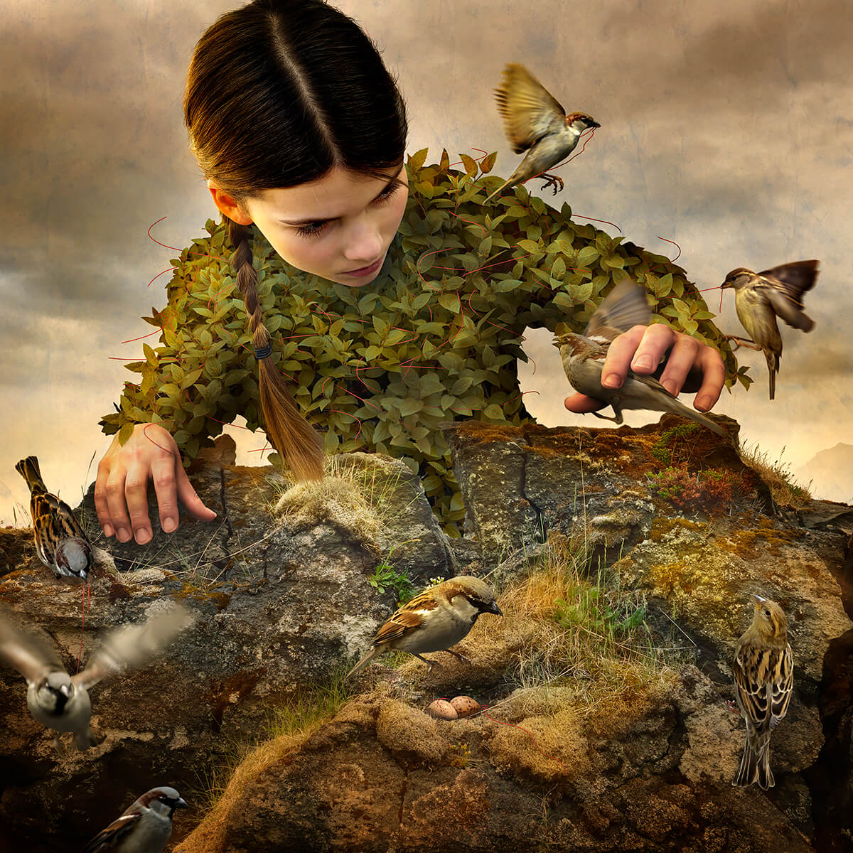 Hidden Aviary<p>© Tom Chambers</p>