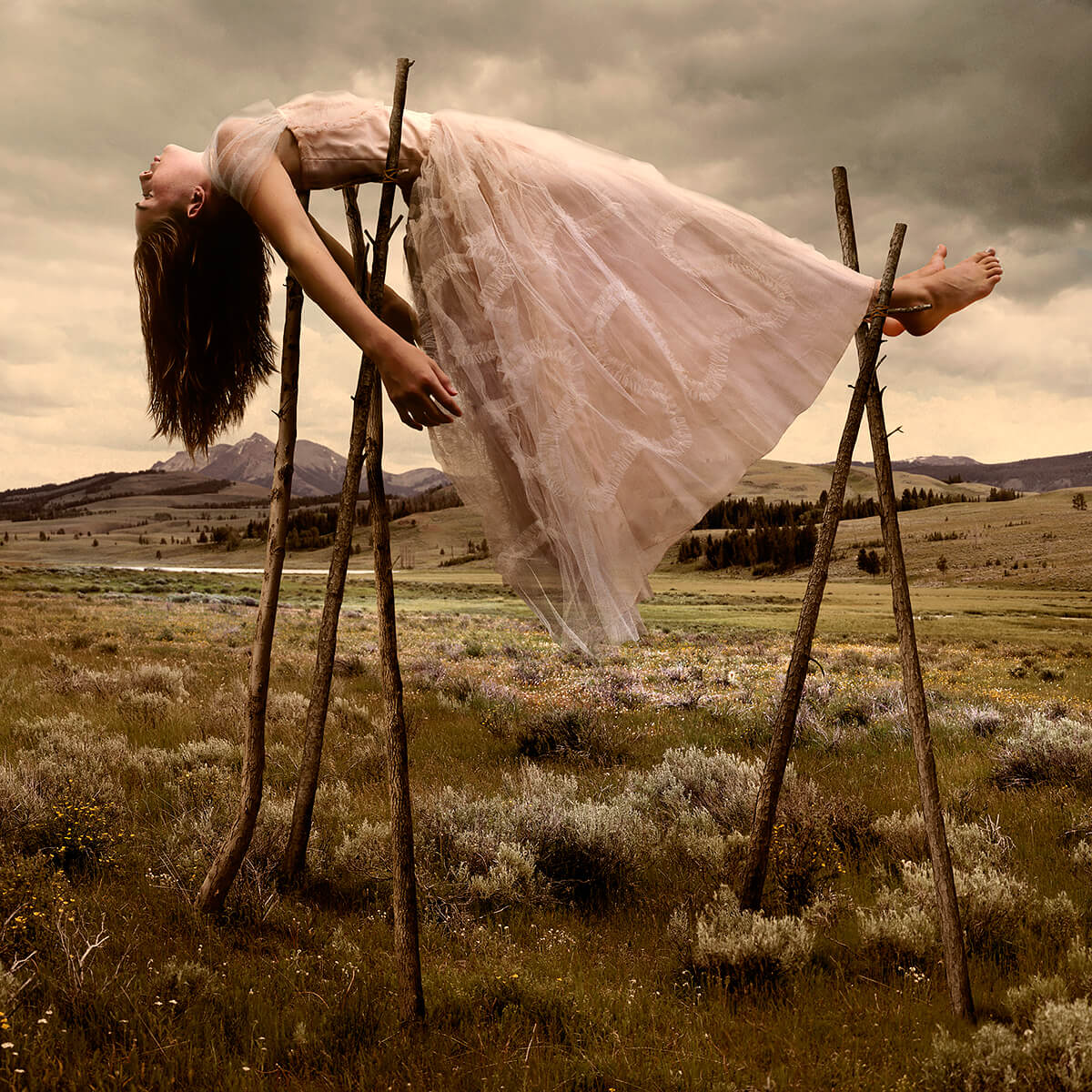 Prom Gown #3<p>© Tom Chambers</p>