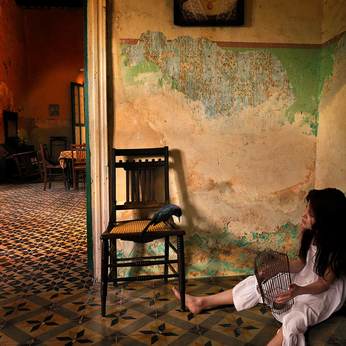 Caging The Songbird<p>© Tom Chambers</p>
