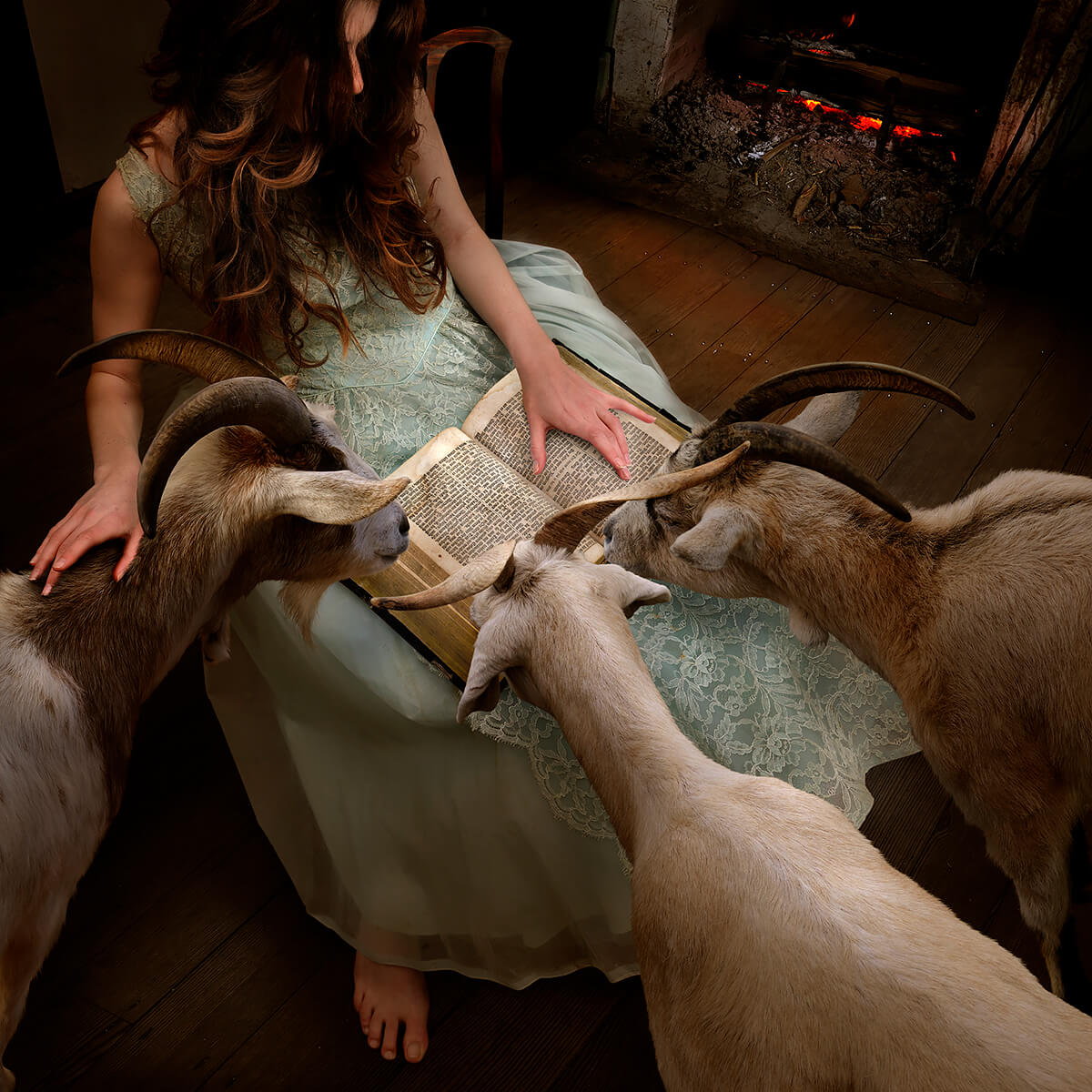 Goatherd<p>© Tom Chambers</p>