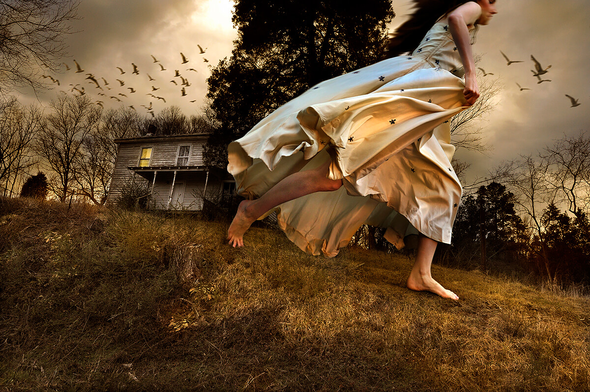 Winged Migration<p>© Tom Chambers</p>