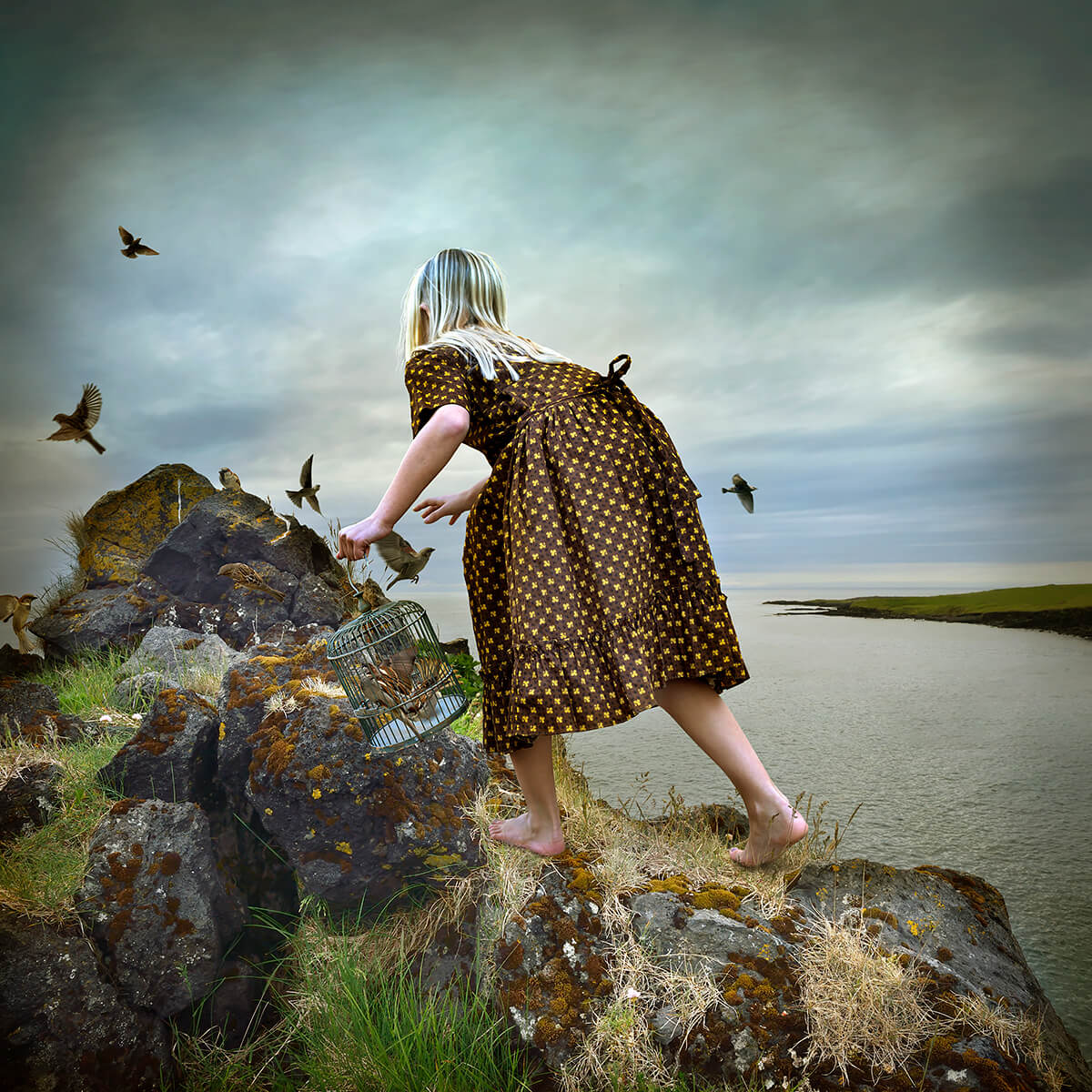 Where Salt Meets Sky<p>© Tom Chambers</p>