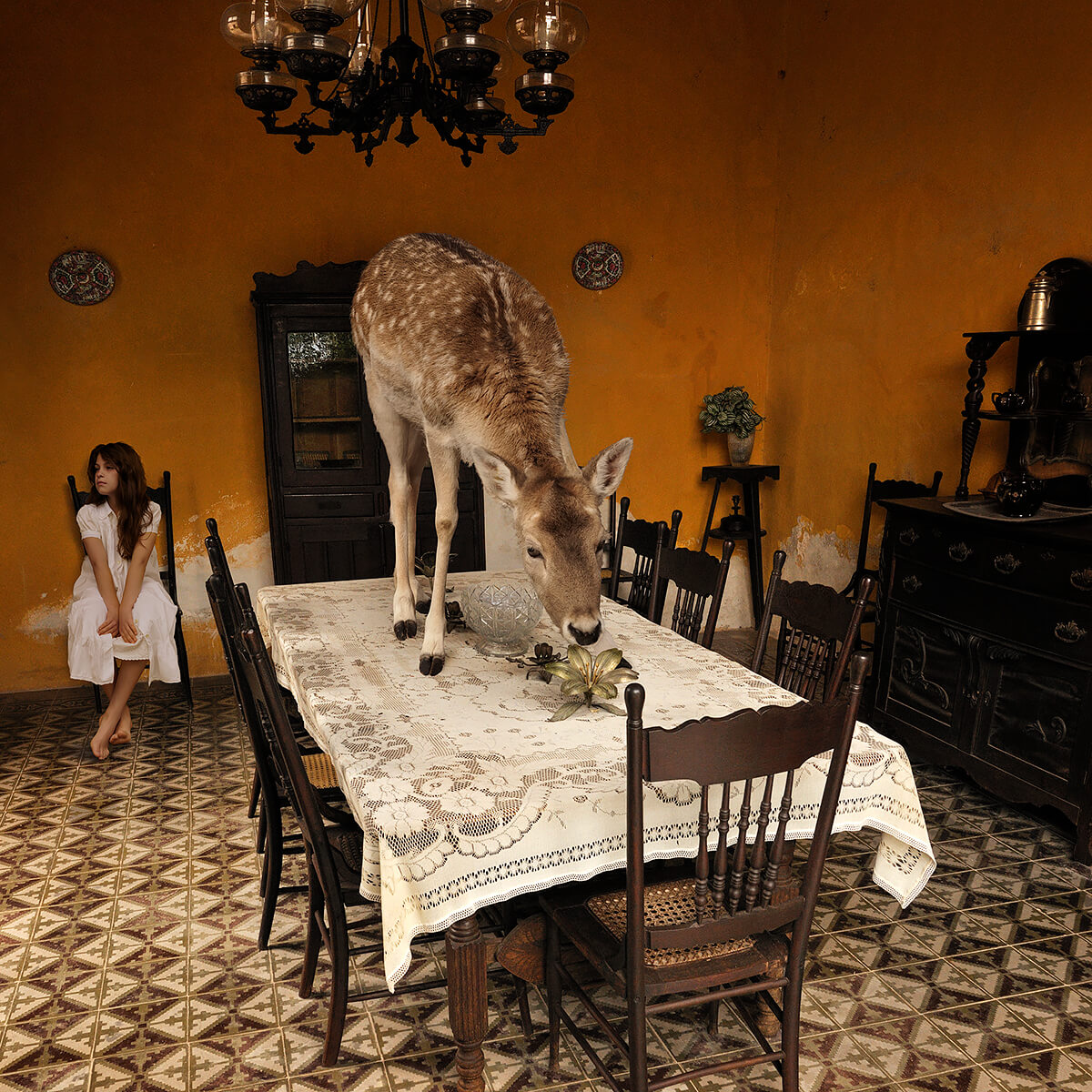 Glass Flower<p>© Tom Chambers</p>