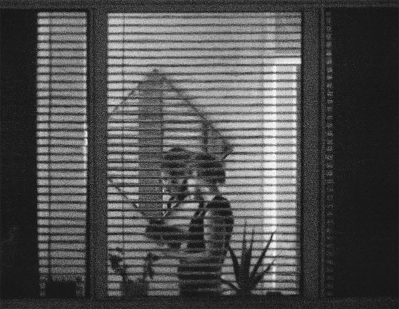 The Girl With Horizontal Blinds  Lower East Side, Sunday, 6:00pm<p>© Yasmine Chatila</p>