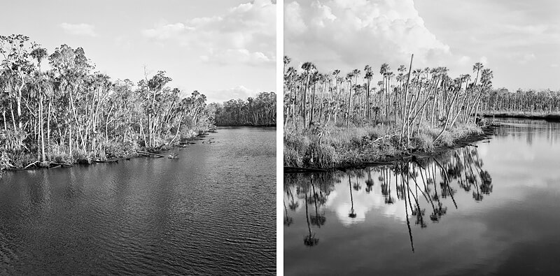 Roof View 2006, 2018<p>© Benjamin Dimmitt</p>