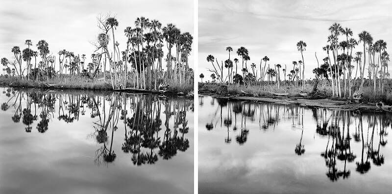 Creekside 2011, 2016<p>© Benjamin Dimmitt</p>