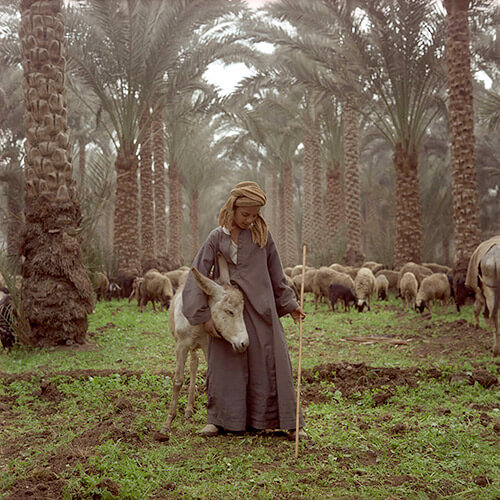 <p>Courtesy Agence VU' / © Denis Dailleux</p>