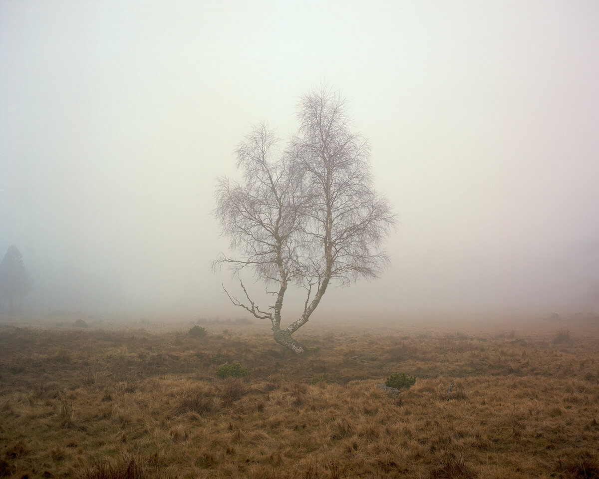 Lozère<p>© Fabien Dendiével</p>