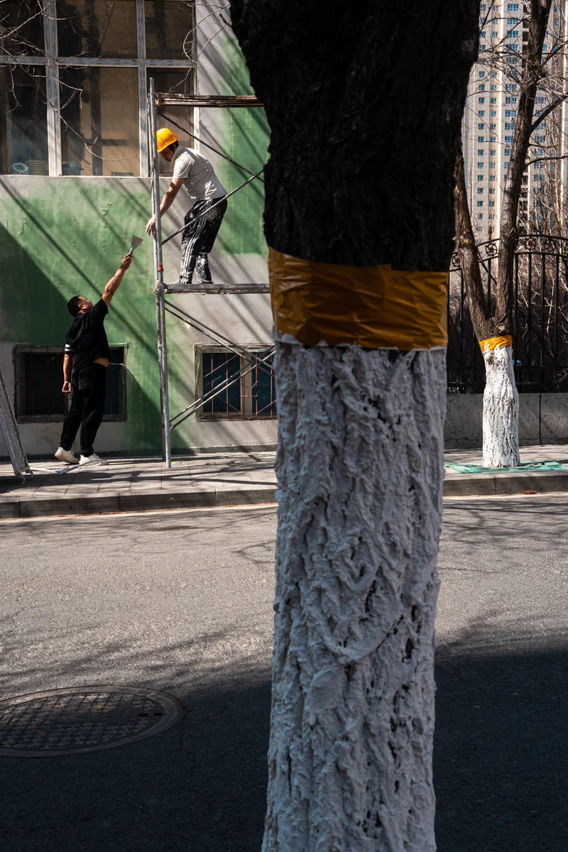 <p>&copy; Julien Drogoul</p>