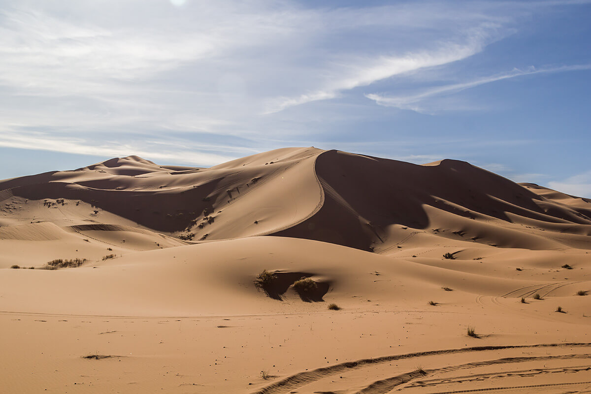 Sahara, Morrocco<p>© Manuel Delgado</p>