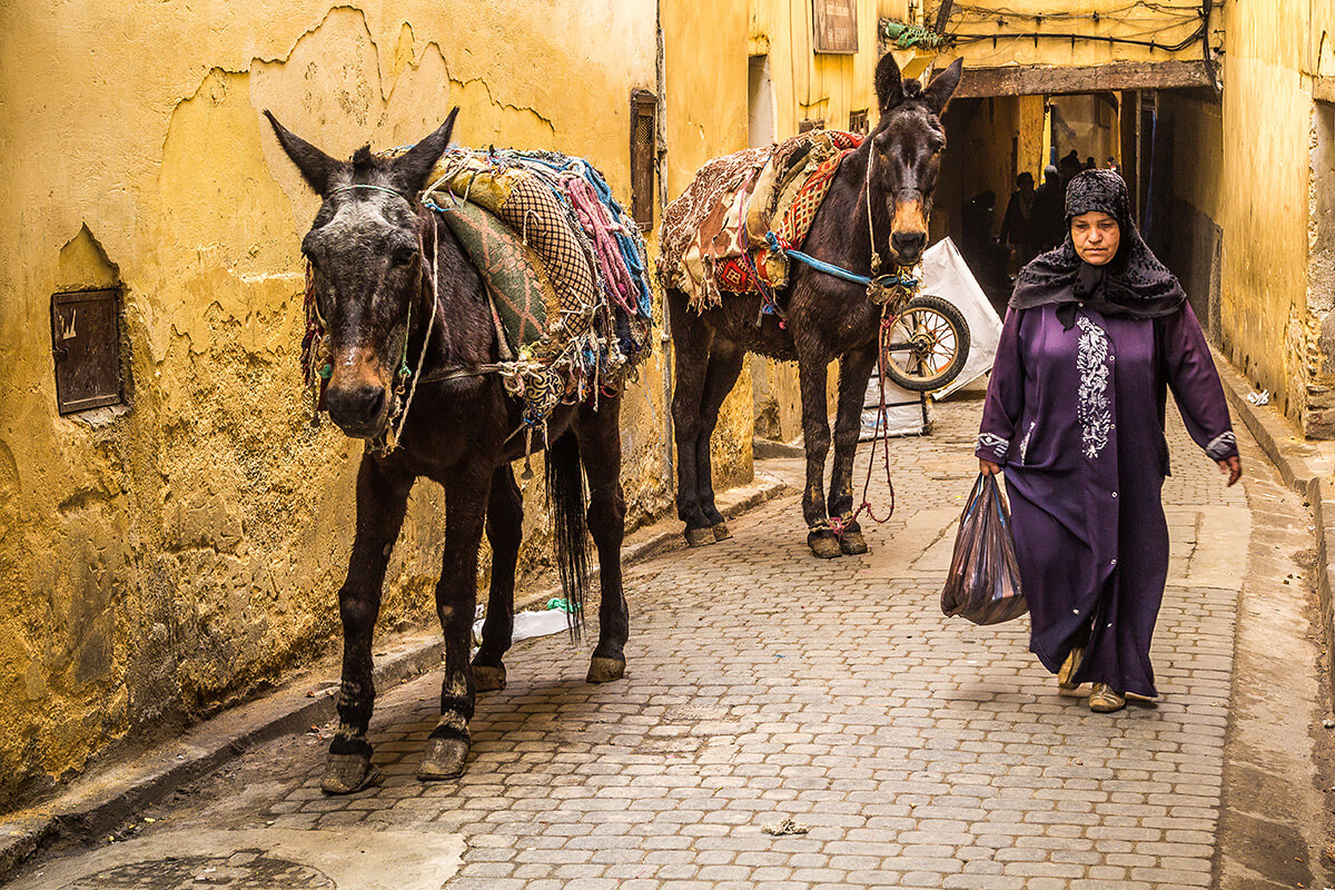 Marrakech, Morocco<p>© Manuel Delgado</p>