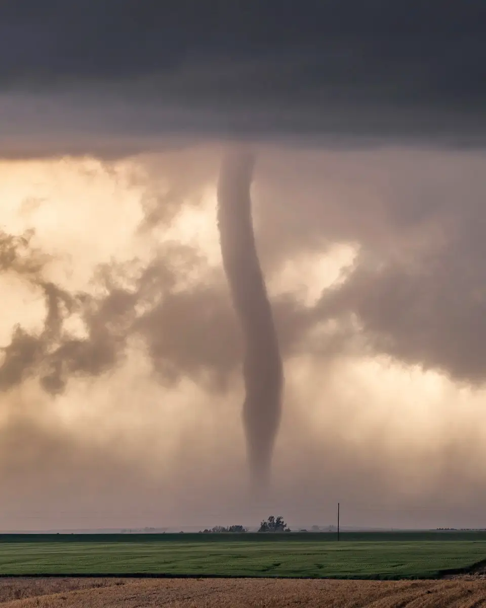 <p>&copy; Marco Di Marco</p>