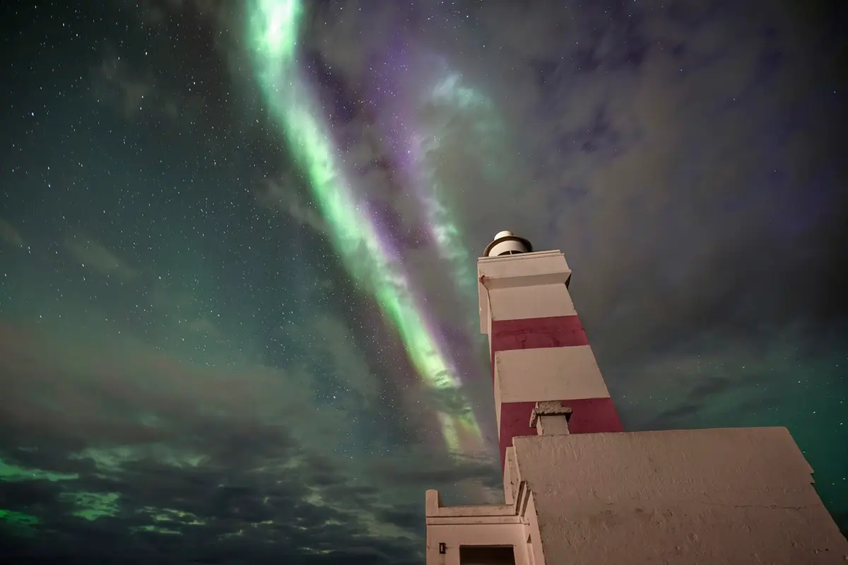 <p>&copy; Marco Di Marco</p>