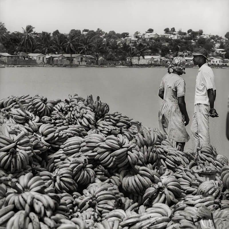 St. John’s Market, Antigua WI<p>© Margo Davis</p>