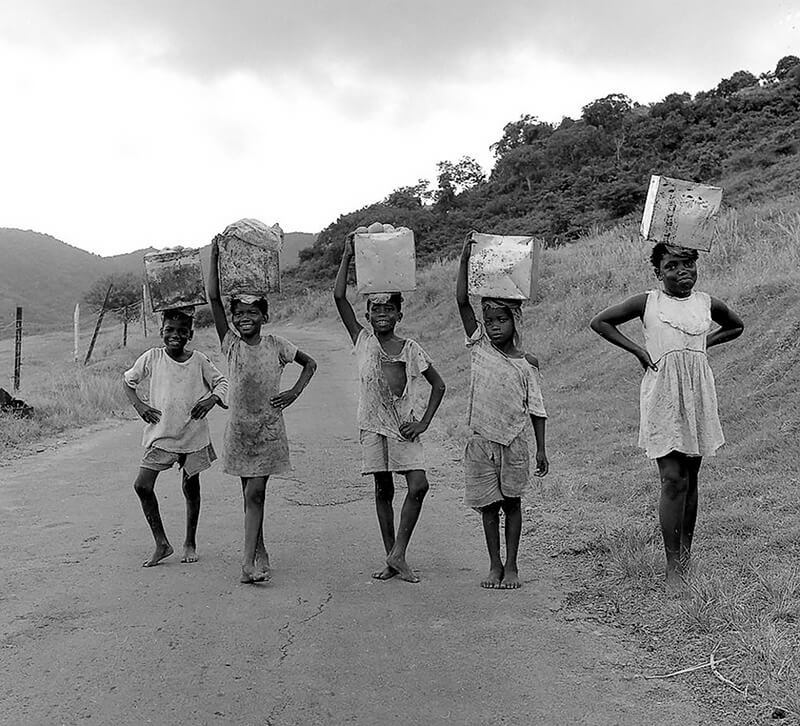 Carrying Home Mangoes, Antigua WI<p>© Margo Davis</p>