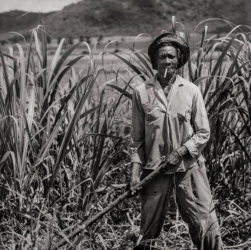 Cane Cutter, Antigua WI<p>© Margo Davis</p>