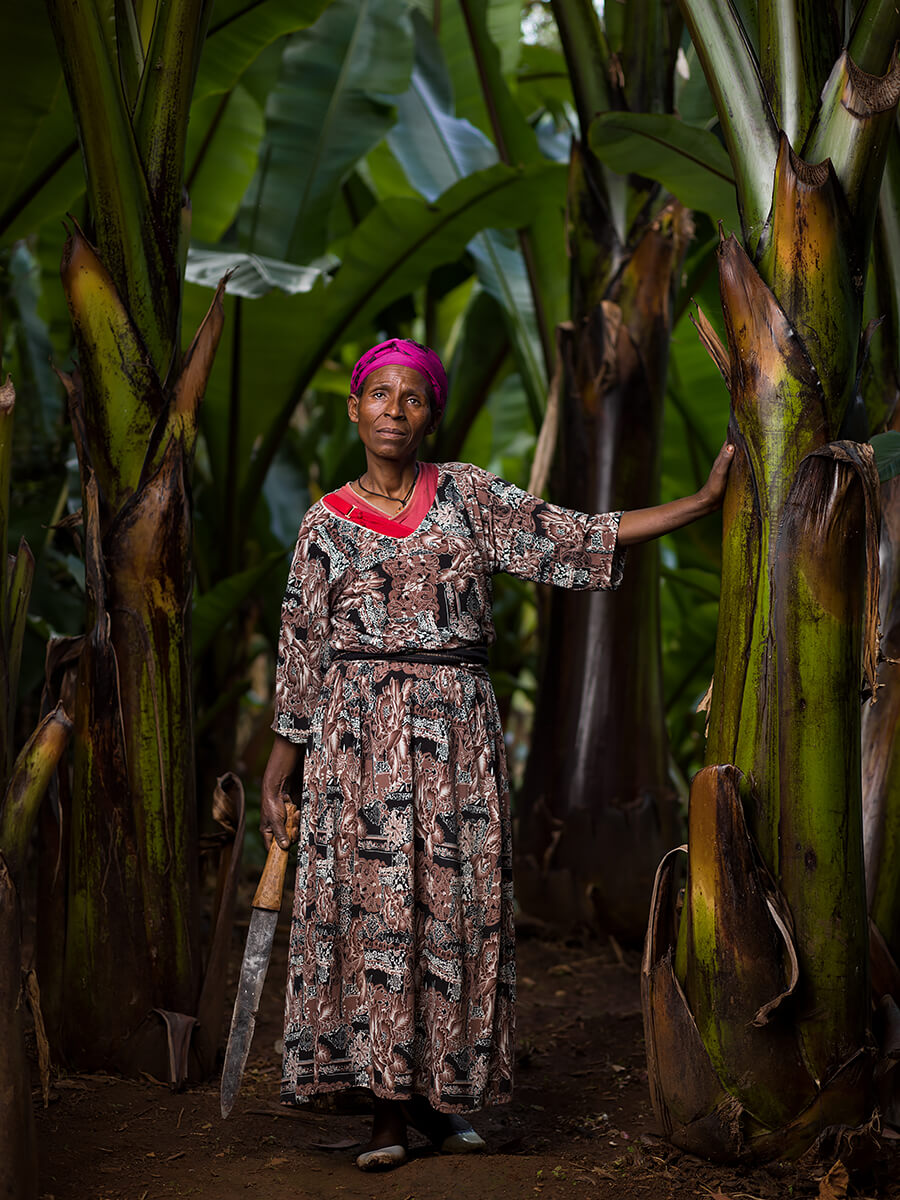 False Banana- Ethiopia<p>© Mauro De Bettio</p>