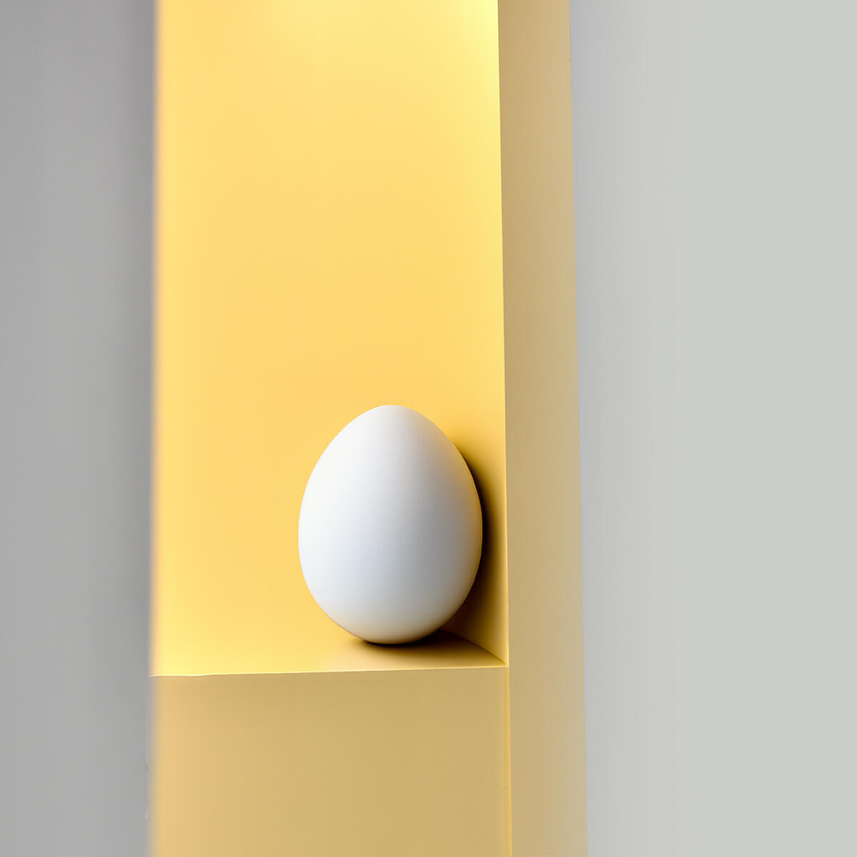 Egg Serie<p>© Mieke Dalle</p>