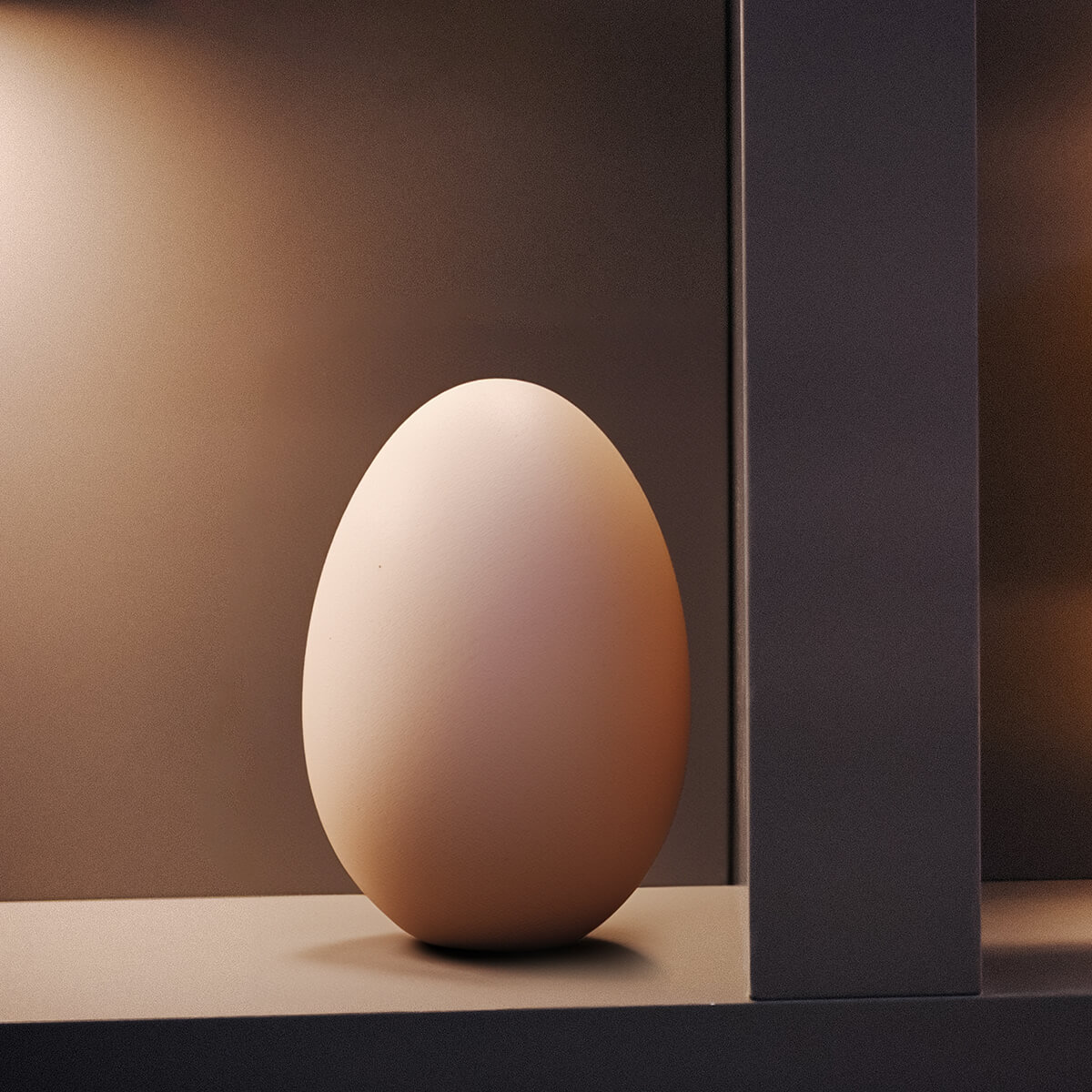 Egg Serie<p>© Mieke Dalle</p>