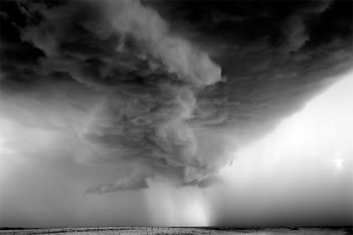 <p>© Mitch Dobrowner</p>