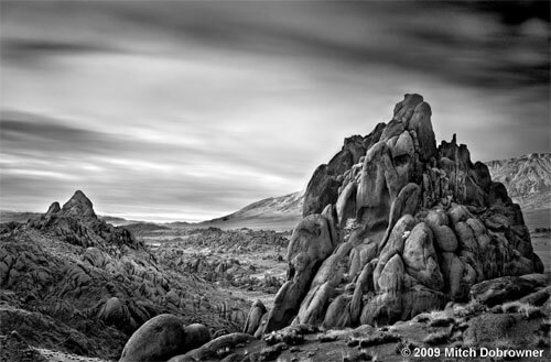 <p>© Mitch Dobrowner</p>