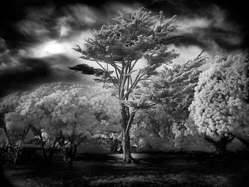 <p>© Mitch Dobrowner</p>