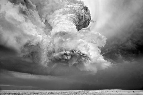 <p>© Mitch Dobrowner</p>