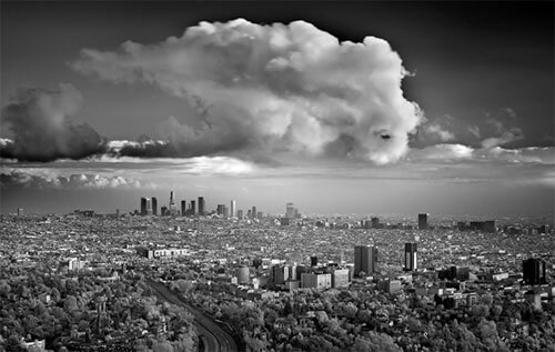 <p>© Mitch Dobrowner</p>