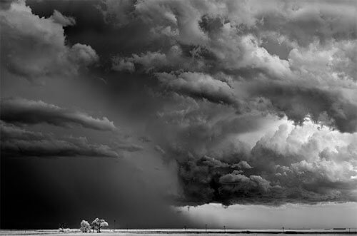 <p>© Mitch Dobrowner</p>