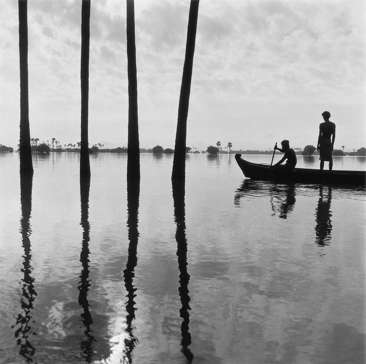 Four Palms, Burma<p>© Monica Denevan</p>