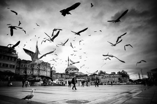 City Guards<p>© Mustafa Dedeoglu</p>