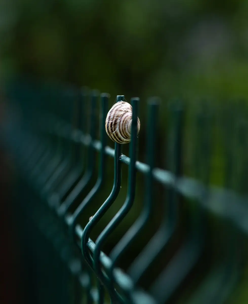 <p>© Oana Daian</p>