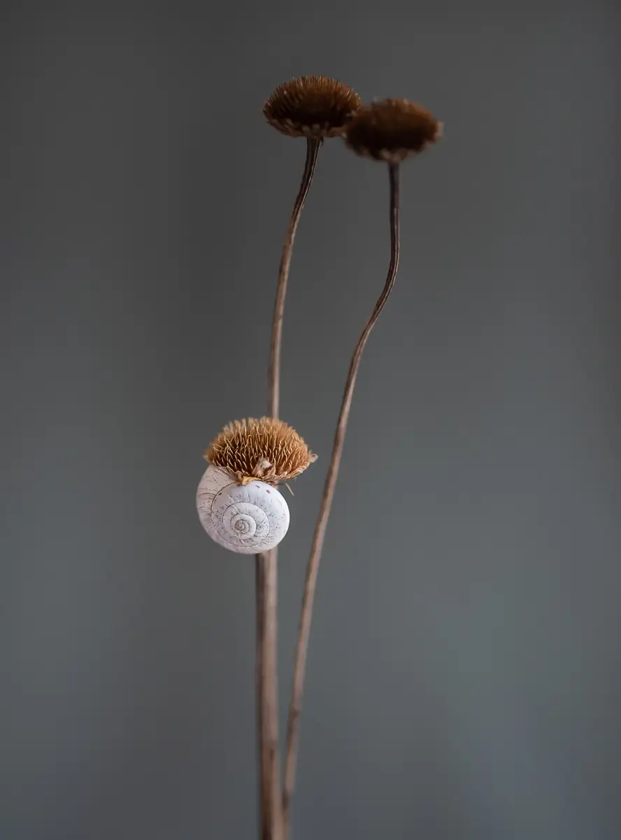 <p>© Oana Daian</p>