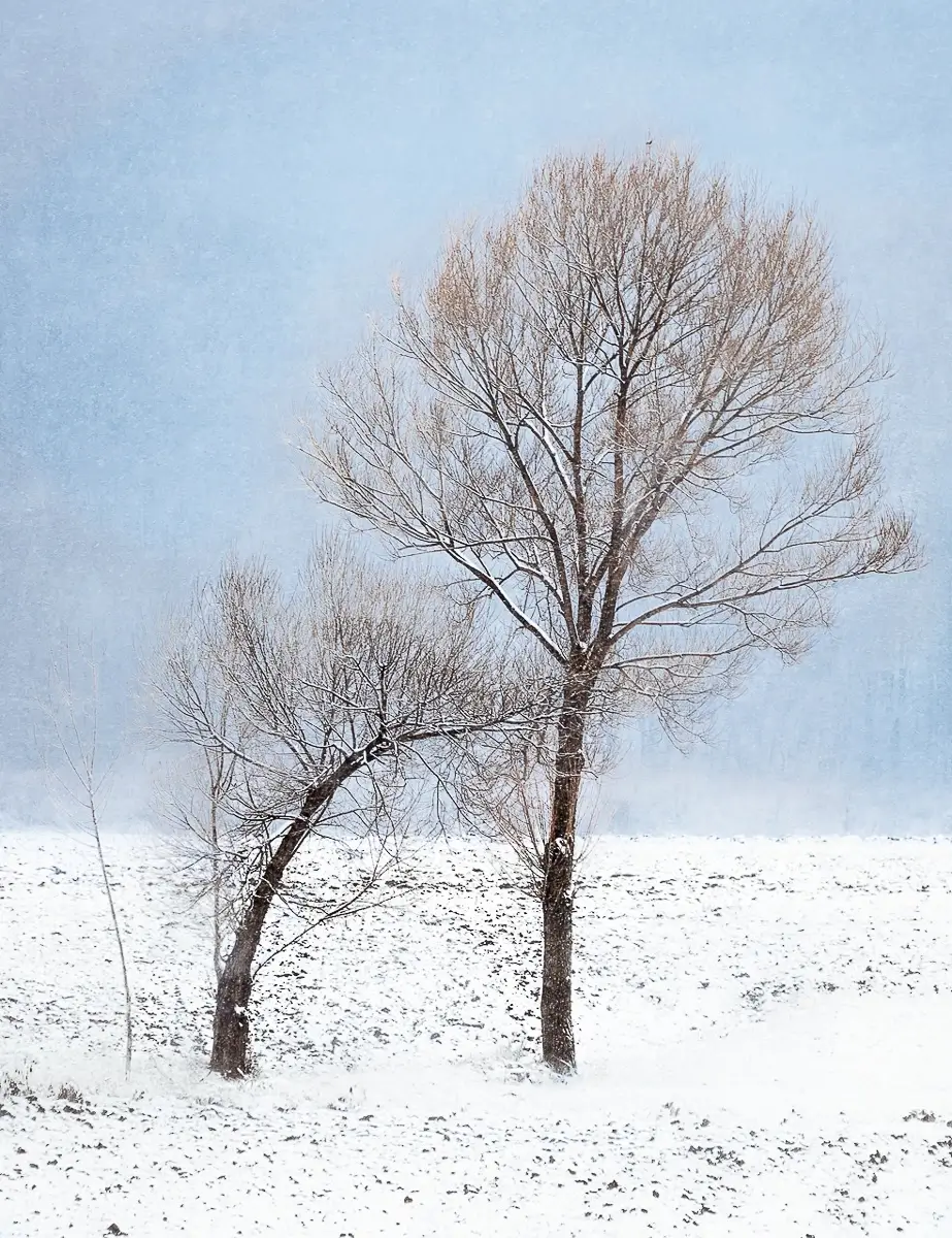 <p>© Oana Daian</p>